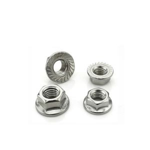 M10 Stainless Steel Hex Flange Nuts A4-70 SUS316