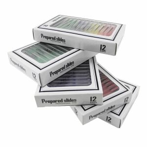 Histology 12pcs Plastic Biology Slides Set Colorful For Children Science