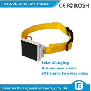 rf-v26 waterproof mini solar power gps tracker cow with sos button alarm