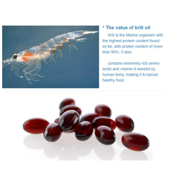 Brain Health Omega 3 EPA DHA Antarctic Krill Oil Softgel with Astaxanthin