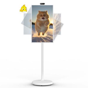China 21 Android 12 System Stand By Me TV Smart Broadcast Machine Touch Screen on sale