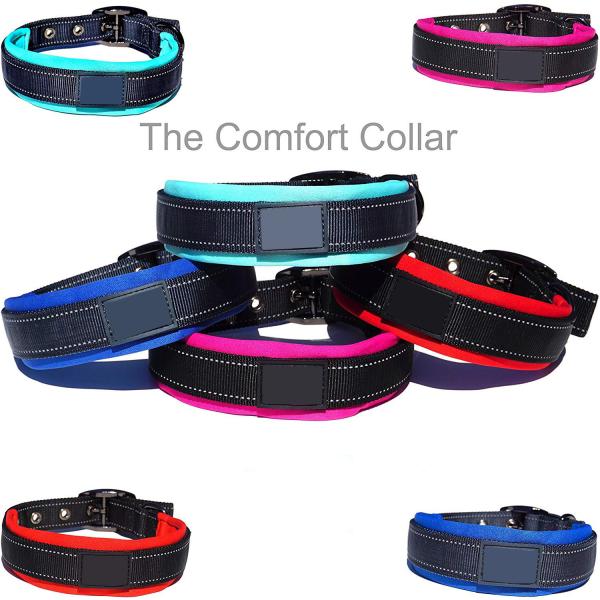 Lightweight Soft Nylon Dog Collar , Comfortable Heavy Duty Dog Collars Heavy Duty Adjustable Reflective Weatherproof