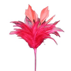 Cheap 5*15 cm Hackle And Coque Feather Flower Mount with Wire Accessory Goose Feather for sale