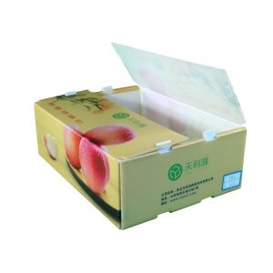 Fruit Vegetable Packing PP Cartonplast Grapes Packing Boxes Plastic Broccoli