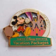 Imitation Cloisonne / Imitation Hard Enamel 2.5mm thickness lapel pin badge