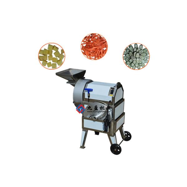 Commercial Fruit Processing Equipment / Kiwi Pear Apple Plantain Banana Chips