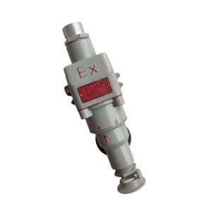China Phase Explosion-proof Plug Socket Explosion-Resistant Plug and Socket IP Rating IP66 WF2 on sale China Phase Explosion-proof Plug Socket Explosion-Resistant Plug and Socket IP Rating IP66 WF2 on sale