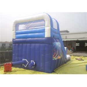 Three lines Inflatable Water Slide With Pool For Kids / Adults Inflatable Slide