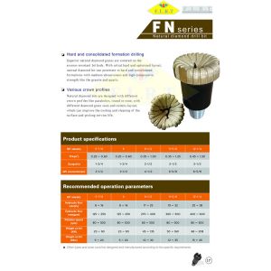 Natural Diamond Bit / 6 1/4" Surface Set Matrix Body PDC Bit For Side Tracking