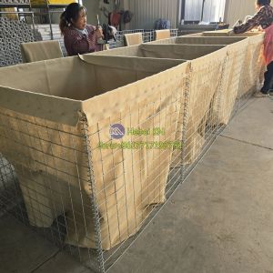 Flood Control Defensive Barrier use Galvanized Welded Gabion Box Lined