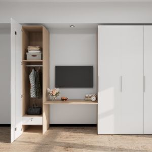 Contemporary customization Bedroom Furniture Modern Simple Design Metal Wardrobe