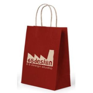 Embossed Printing Paper Bag 250gsm Printed Paper Carrier Bags