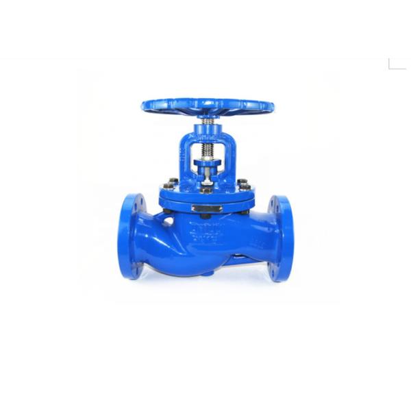 Sizes 1/2" To 2" Class 800 Forged Stainless Steel 316L Globe Valve BSP , NPT ,
