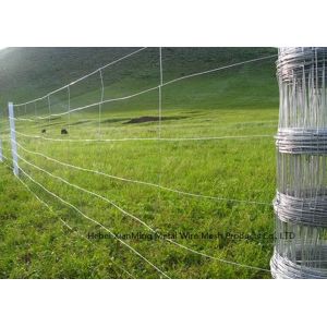 Hot Dip Galvanized Farm Mesh Fencing , Durable Farm Fence Panels