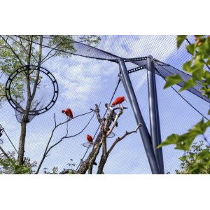 stainless steel wire rope mesh peacock fencing