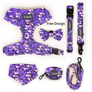 Custom Print Pattern Designer Soft Padded Dog Harness Set with Adjustable Vest
