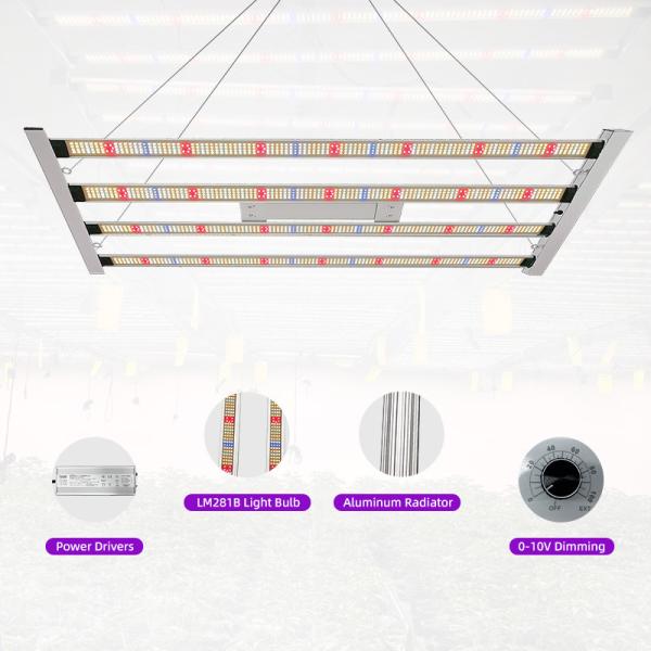 4 Bar 400W Full Spectrum Led Grow Light ETL DLC Lm301h Lm301b Lm281B for Veg