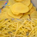 Dual Frequency Modulation Fruit Processing Machine artichokes Cucumber Multi