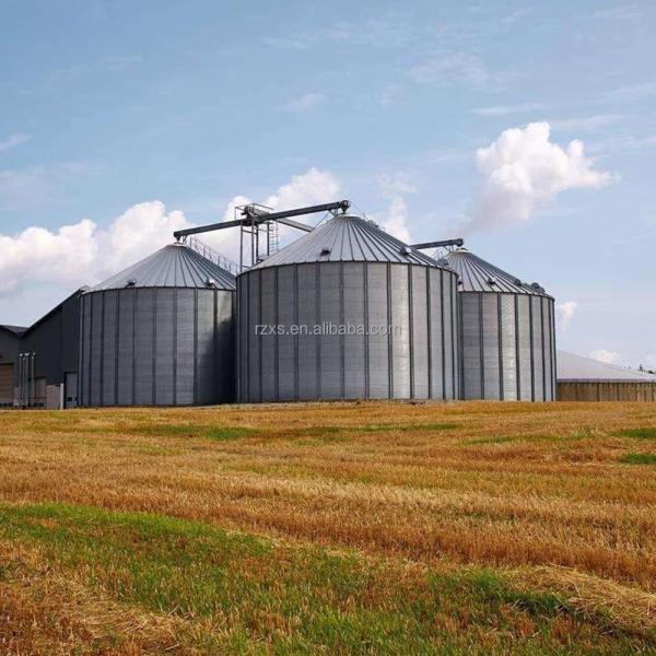 Quality Optimum Agricultural Storage Made Easy with STR STGF80 Grain Silo 28000 KG Capacity wholesale