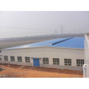 Low cost steel structure warehouses with middle column design