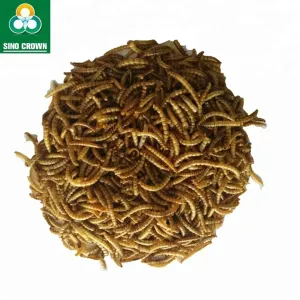 Cheap Delicious Dried Mealworms From Dry And Cool Place Storage Made With Mealworms for sale