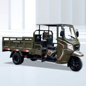 Kenya 3 Wheel Cargo Tricycle Motorcycle with High Displacement and Curb Weight