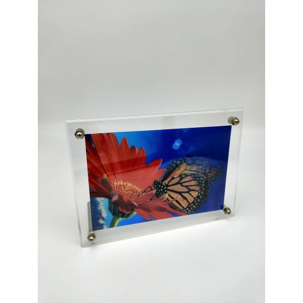 Circular Acrylic Stand Figures Photo Frame Stand 20cm Size Stylish