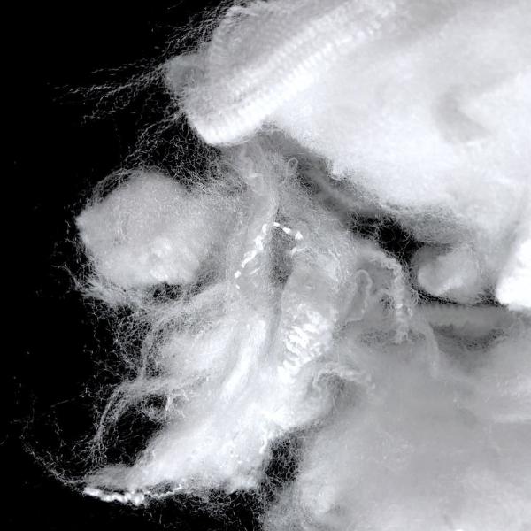 Quality Ethylene Propylene Side By Side Fiber , 3D×51mm Bicomponent ES Fiber wholesale