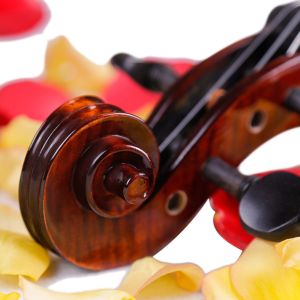 Musical instruments high end deviser 1/2 1/4 4/4 solid spruce maple back&side