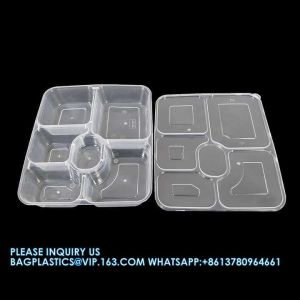 Custom 5 compartment 6 Compartment recyclable Bento Food Containers Take Away