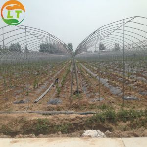 Single Layer Chinese Greenhouse Frame for Compression Resistant and Customizable