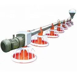 Customized Poultry Chick Line Feeder Broiler House Flooring Tube Chain Conveyor