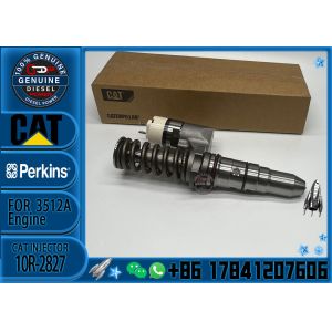 Cat 3152B Engine Injector diesel common Rail Fuel Injector 249-0746 10R-2826 10R