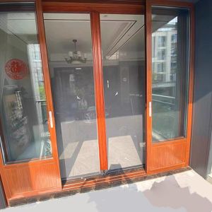 Barrier Free Double Sliding Mosquito Net Door Support OEM ODM