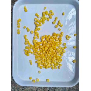 Natural Color Sweet Corn in Can with Easy Open Lid