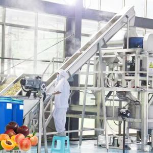 Cheap Professional Peach Processing Plant Plum Concentration Processing Line for sale