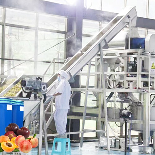 Professional Peach Processing Plant Plum Concentration Processing Line