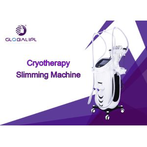 RF Fat Dissolving Cryolipolysis Machine 8.4 Inch Touch Screen Display CE Assured