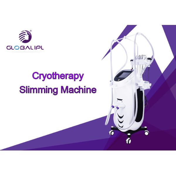 Quality RF Fat Dissolving Cryolipolysis Machine 8.4 Inch Touch Screen Display CE Assured wholesale