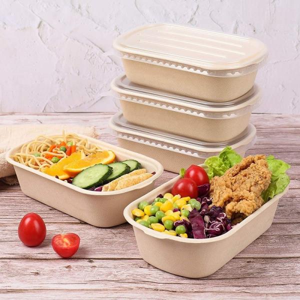 Quality Compostable Takeout Disposable Food Containers Bagasse Lunch Box With Lid wholesale