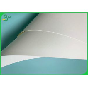 China 790mm Width 185gsm 235gsm PE Coated Cup Paper For Hot Coffee Cups on sale