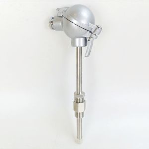 PT100 High Temperature Transmitter Industrial Pipeline RTD Temperaure Transducer