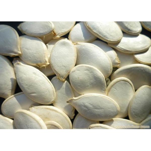 Quality Snow White Pumpkin Seed Improving Libido To Alleviate Menopausal Syndrome wholesale