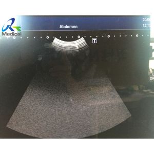 PVT-674BT Micro Convex Ultrasound Transducer Probe High Frequency Aplio 50