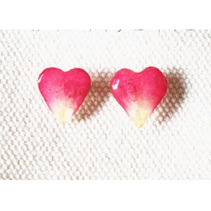 Cheap 2018 Nami Studio Newest Creative Handmade Heart Dry Flower Stud Earrings for sale