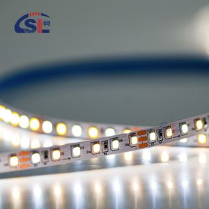 CCT 12V24V 8mm 120leds 3000K-6500K Flexible Dual Color Electroplate SMD2835 LED
