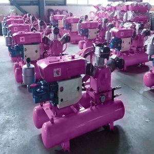 Small Air Compressor Piston Air Compressor Machine Industrial Air Compressor For