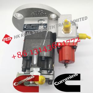 Cummins Diesel ISM11 QSM11 Engine Fuel Injection Pump 3090942 3417674 3041800