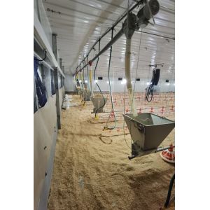 Hot Dip Galvanized Metal Steel Broiler Layer Poultry House With Automatic