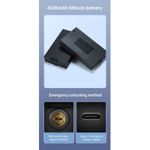 S666max 3D Face ID Recognition Door Lock With Video Calling Card Key Code Multi